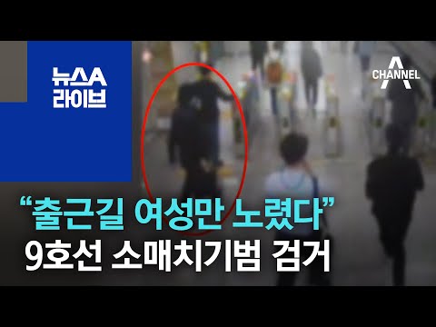 "Targeted only women during morning commute"… Subway Line 9 pickpocket arrested | News A Live