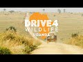 Drive 4 Wildlife Uganda Highlight Video