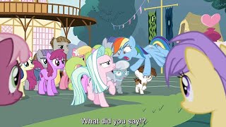 Unicorns, Pegasus & Earth Ponies Gets Split - My Little Pony Season 9 Episode 25