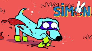 Simón *¡Mi cobijita se perdió para siempre!* Recopilación 1hr. *Temporada 4* [Dibujos animados]