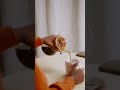 Soft Truth | Routines