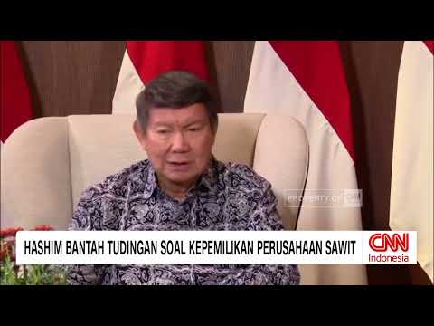 Hashim Bantah Tudingan soal Kepemilikan Perusahaan Sawit