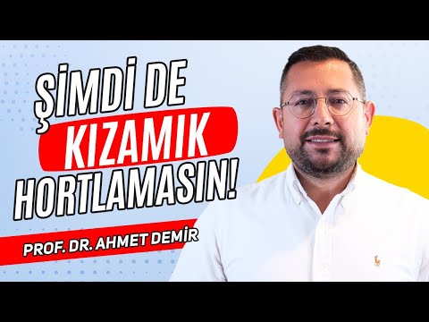 KIZAMIK HASTALIĞI YENİDEN ?, Prof Dr Ahmet Demir
