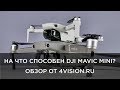 На что способен DJI Mavic Mini - Обзор от 4vision.ru