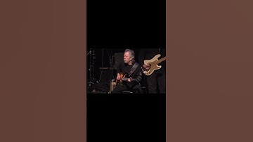 Thumbnail of #guitarist Harvey the snake Mandel #harveymandel