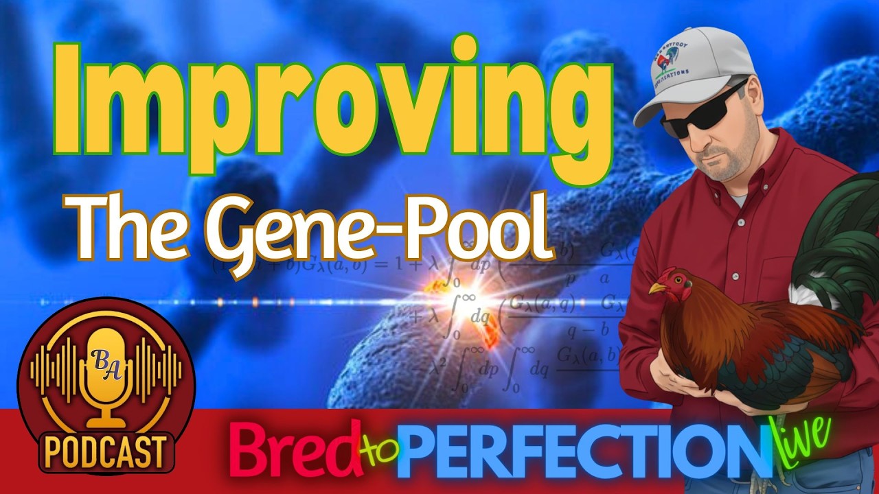 CLEANING UP THE GENE POOL - YouTube
