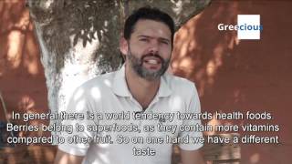 Berryland The Paradise Of Greek Super Foods In Evia