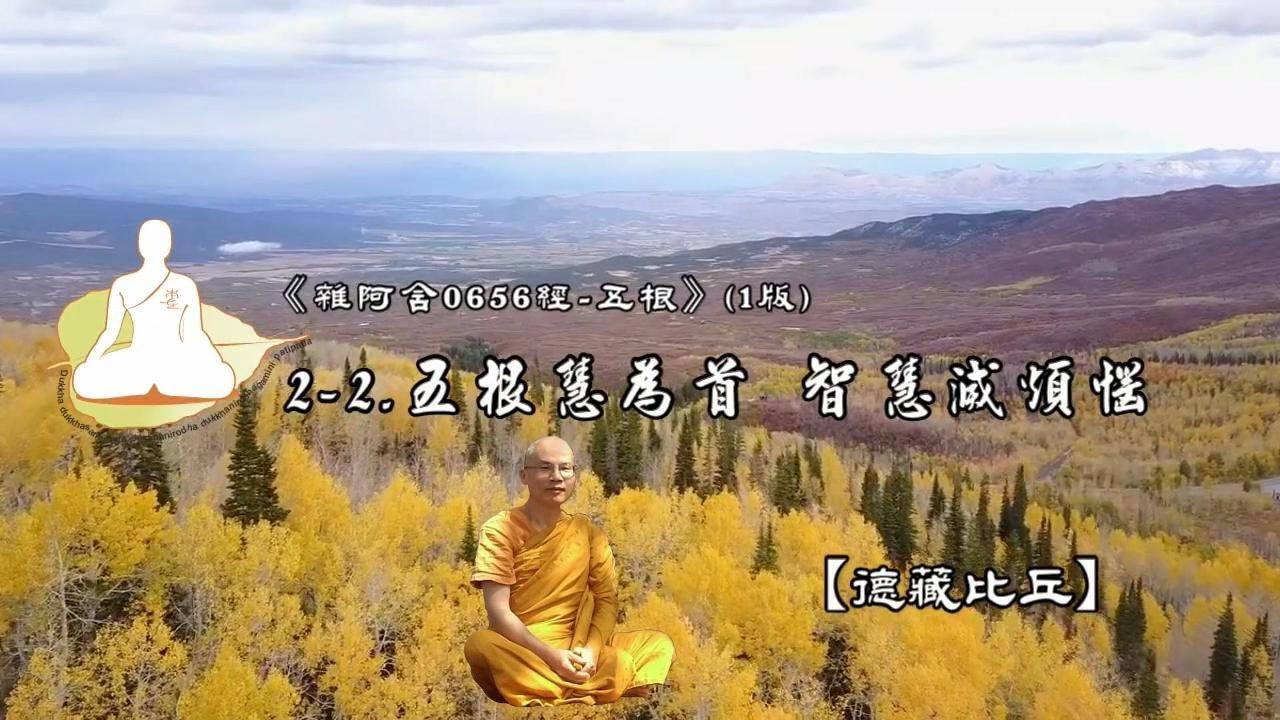 微法音~五根慧為首 智慧滅煩惱[德藏比丘] - YouTube