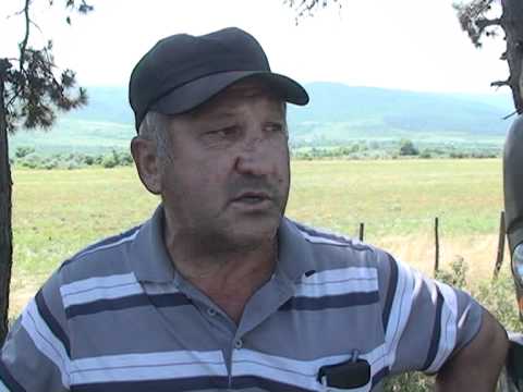 ავტოსაგზაო შემთხვევა ხაშურთან