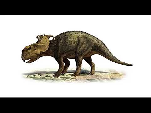pachyrhinosaurus sounds
