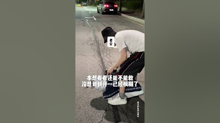 回喵星过马路要小心一点哦😭#猫咪 #流浪猫 #喵星球没有痛苦