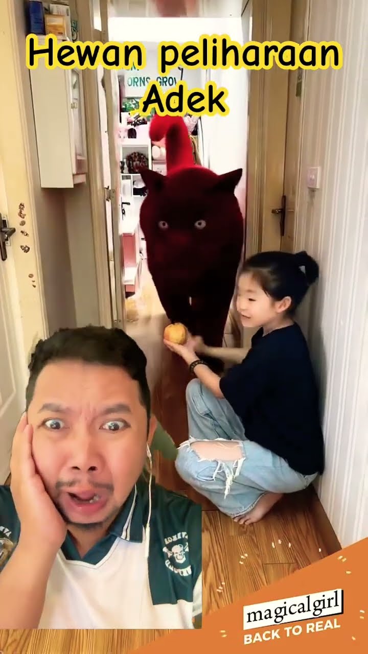 HEWAN PELIHARAAN ADEK GEDE BANGET YA!!!?? #funny #cat #pets #shortsfeed #happy #halloween
