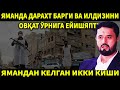 ЯМАНДА ОВҚАТ ЎРНИГА ДАРАХТ ИЛДИЗИ ВА БАРГИНИ ЕЙИШЯПТИ... АБРОР МУХТОР АЛИЙ