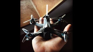 Famous Five33 Tiny Trainer BUILD! Net Worth