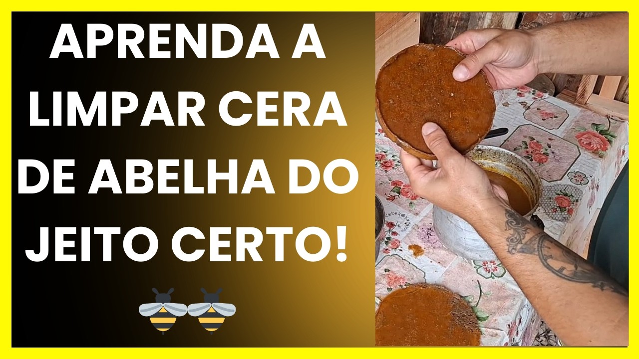 Aprenda a Limpar Cera de Abelha Sem ferrão do Jeito Certo! 🐝