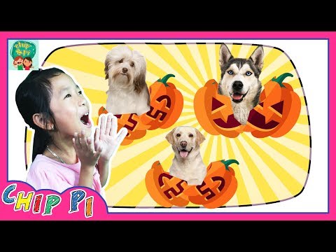 learn-animals-dogs-family-for-kids-name-and-sounds-animal-videos