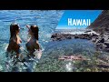 PISCINA NATURAL NO HAWAII - Oahu Parte1