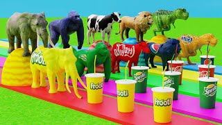 Choose Right Drink with Elephant Gorilla Cow Lion Dinosaur Wild Animals Games Fountain Crossing Game