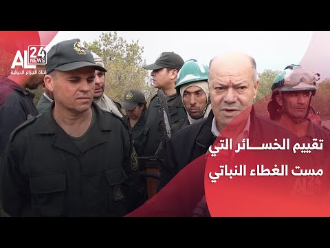 الجزائر المدير العام للغابات سيتم الشروع قريبا في تقييم الخسائر التي مست الغطاء النباتي