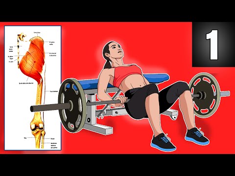 Sumo deadlift  Peso muerto, Anatomia funcional, Press de banca