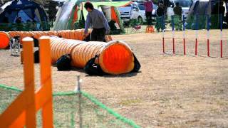 120211加古川AG1