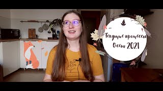 #1 Текущие процессы / Осень 2021 / Жизнь и хобби как есть / Вышивка