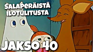 Muumilaakson tarinoita jakso 40 - Salaperäistä ilotulitusta