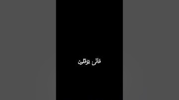 قران _ بخلفيه سوداء ﴿ الَّذِينَ صَبَرُوا وَعَلَىٰ رَبِّهِمْ يَتَوَكَّلُونَ﴾[ سورة النحل: 42]