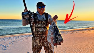 We Kayaked this GIANT BAIT off the beach and Caught This !