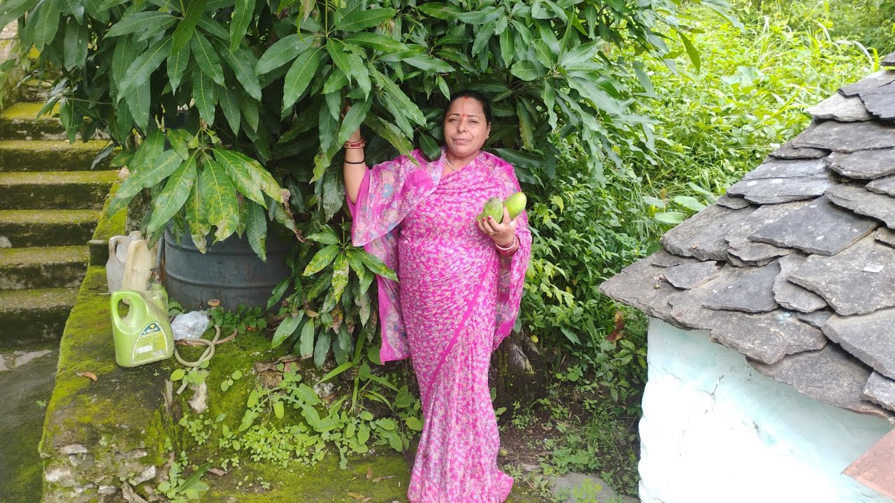 पहाड़ी आम की मिठास | अपने हाथों से तोड़ा आम का फल 🍋🍃