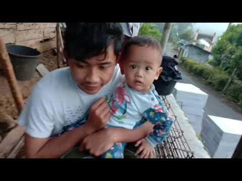 kambing bagus 