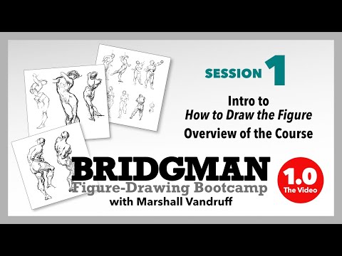 Bridgman Bootcamp 2020, Session 1 of 12