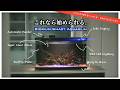【お得情報あり】あのBiorium水槽を徹底レビュー!オールインワンの凄いやつだが100%アレに振り切った水槽だった。