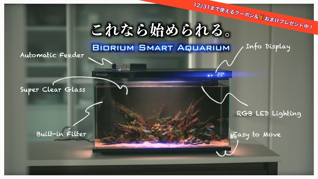 Special Offer] A thorough review of the Biorium aquarium! It's an