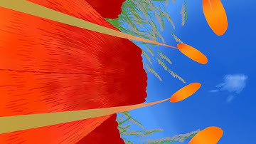 Quill Transition test