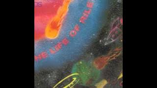 The Lightning Seeds - The Life Of Riley (Instrumental)