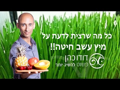 מיץ עשב חיטה - הדרכה מלאה לגידול והפקת מיץ כולל נתוני ערכים תזונתיים ועלויות