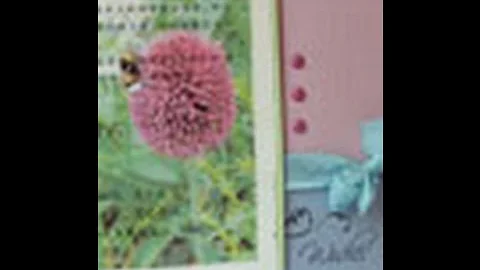 Learn about packing tape photo transfer with Sara ...
