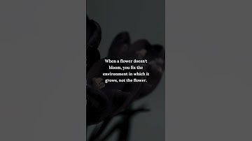 When a flower doesn
