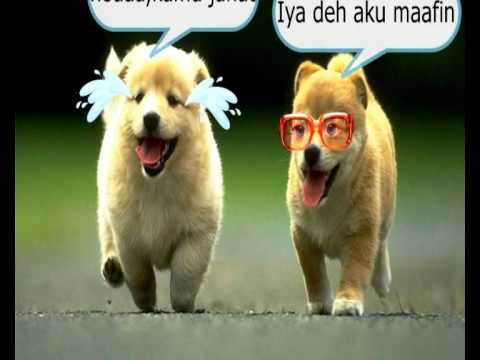 gambar lucu  animasi  mp4  YouTube