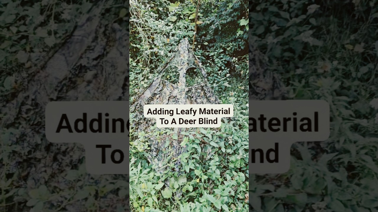 #deerblind