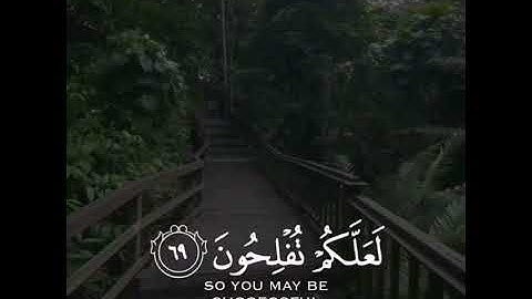 رعد الكردي سورة الأعراف