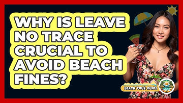 Why Is Leave No Trace Crucial To Avoid Beach Fines? - Beach Tour Guide