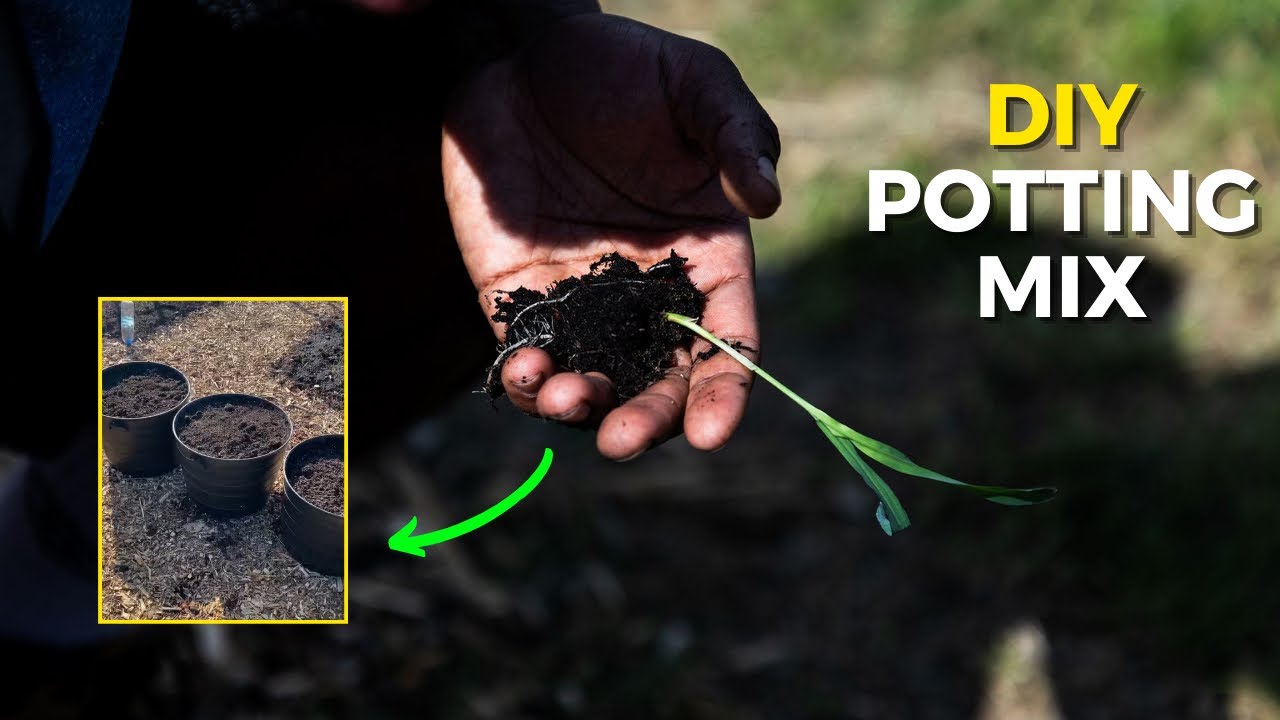How to Make Your Own Potting Mix - Easy DIY Recipe - YouTube