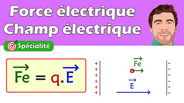 FORCE électrique et CHAMPS électrique | 1ère et Terminale spécialité physique chimie
