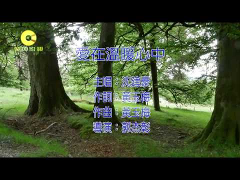 愛在溫暖心中 沈建豪