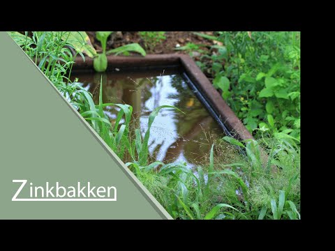 Video: Hvad Betyder Spejleffekten?