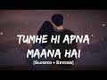 Tumhe Hi Apna Maana Hai Slowed Reverb Sachet Parampara Srikanth Lofi MD Izhar YouTube Tumhe Hi Apna Maana Hai Slowed Reverb Sachet Parampara Srikanth Lofi MD Izhar YouTube