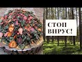 РЕЦЕПТ ЧАЯ, уничтожившего большинство вирусов в моем организме! Секреты приготовления!!! TEA! RECIPE