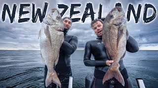 HUGE Snapper Spearfishing with New Zealand champions Jackson Shields & Sophie Hamilton